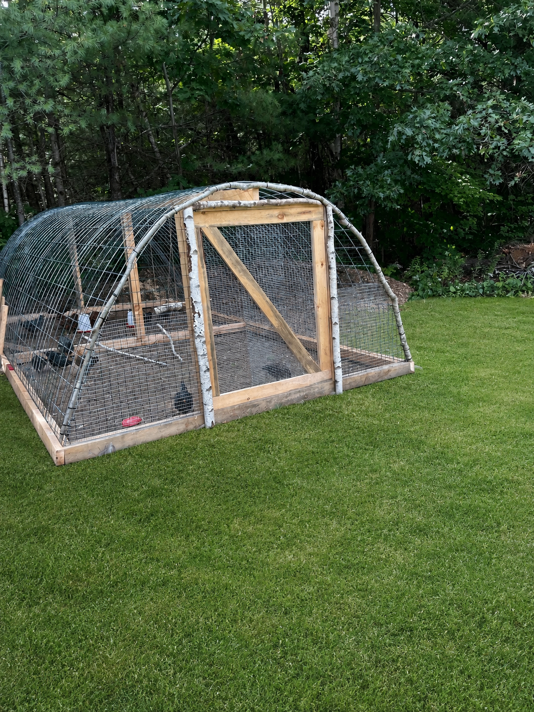 Outdoor Builds and Repairs